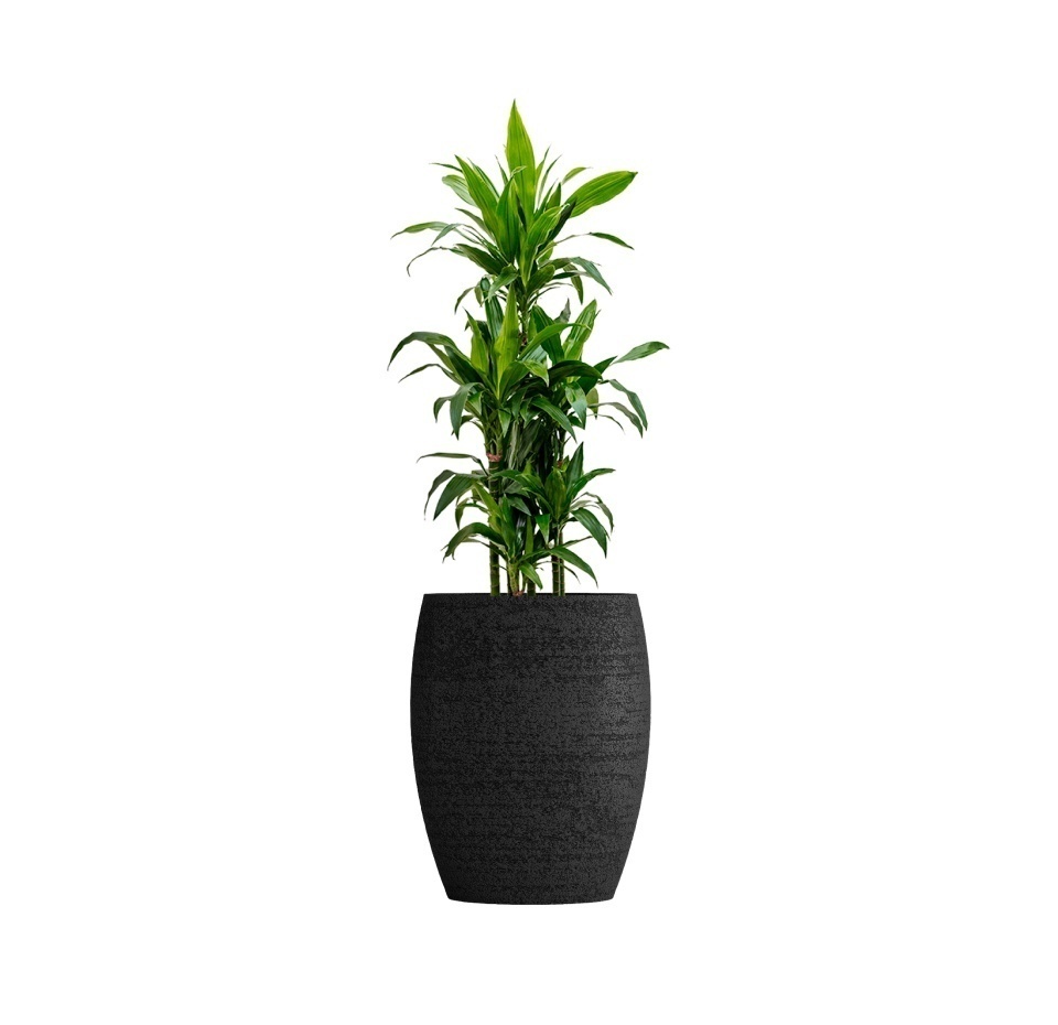 Кашпо CONCRETIKA OVAL EROSIA BLACK D45H66
