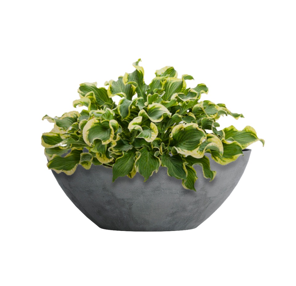 Кашпо CONCRETIKA BONSAY SMOKEY BLUE D50H19