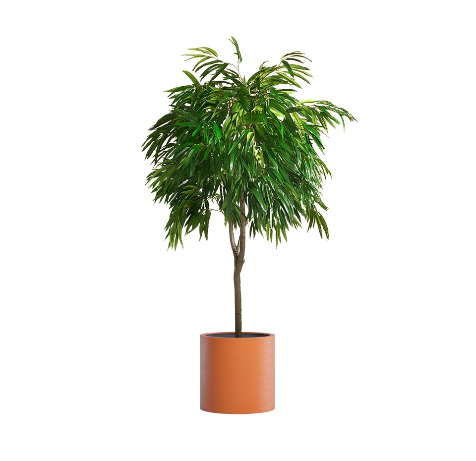Кашпо CONCRETIKA CYLINDER CARROT D45H45