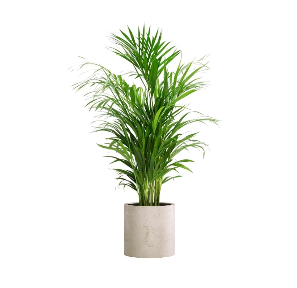 Кашпо CONCRETIKA CYLINDER CONCRETE WHITE D40H40
