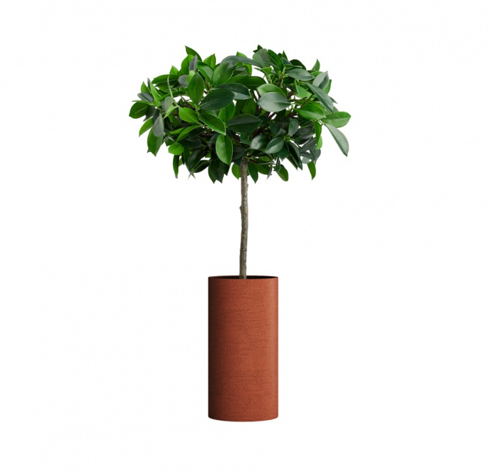 Кашпо CONCRETIKA CYLINDER EROSIA CORAL D30H60