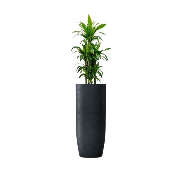 Кашпо CONCRETIKA YAR ANTHRACITE D46H110