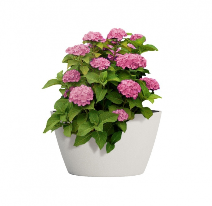 Кашпо CONCRETIKA BOWL SANTORINI D52H29