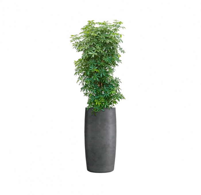 Кашпо CONCRETIKA CIGAR SMOKEY BLUE D37H78