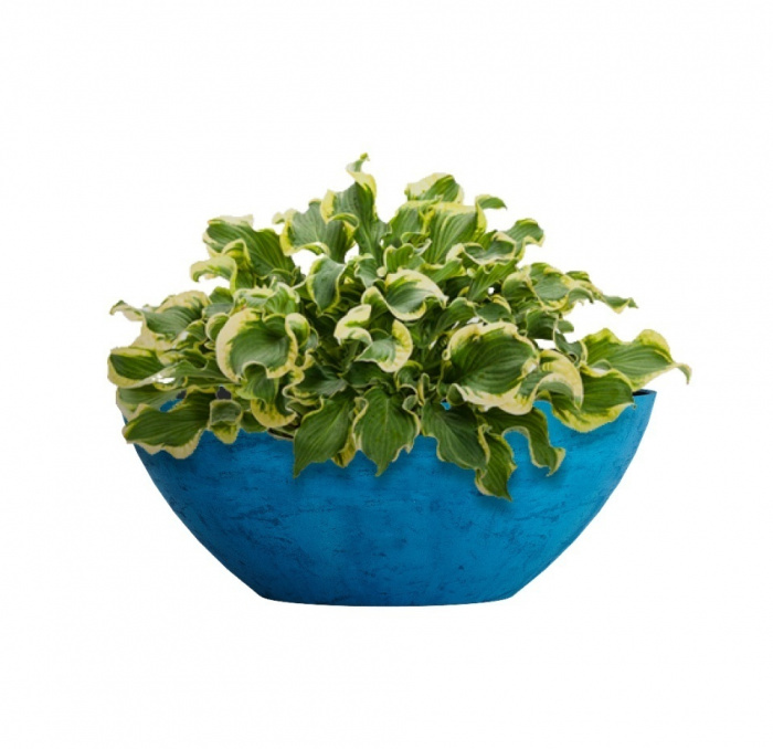 Кашпо CONCRETIKA BONSAY COBALT BLUE D50H19