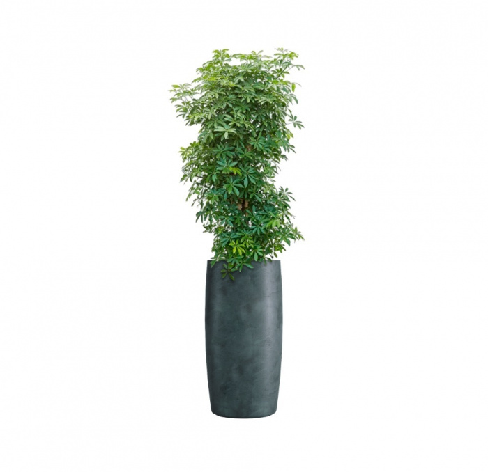 Кашпо CONCRETIKA CIGAR OCEAN GREEN D37H78