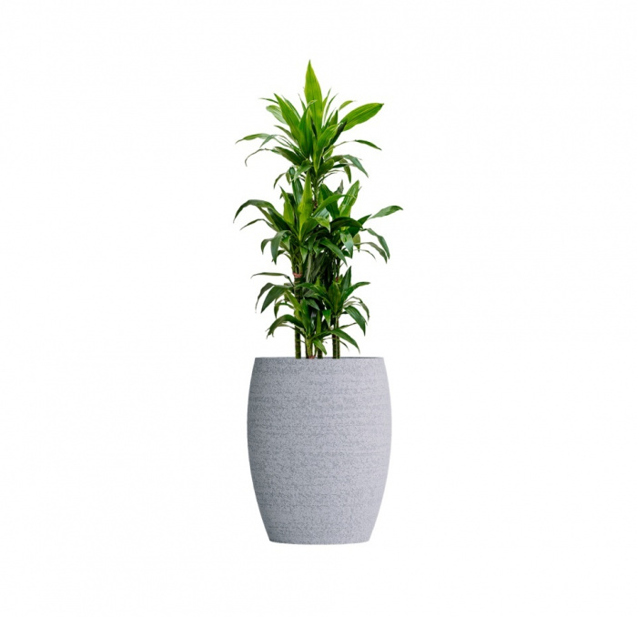 Кашпо CONCRETIKA OVAL EROSIA WHITE D45H66
