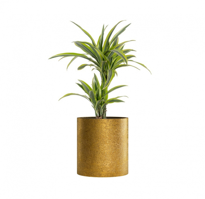 Кашпо CONCRETIKA CYLINDER RICH GOLD D60H65