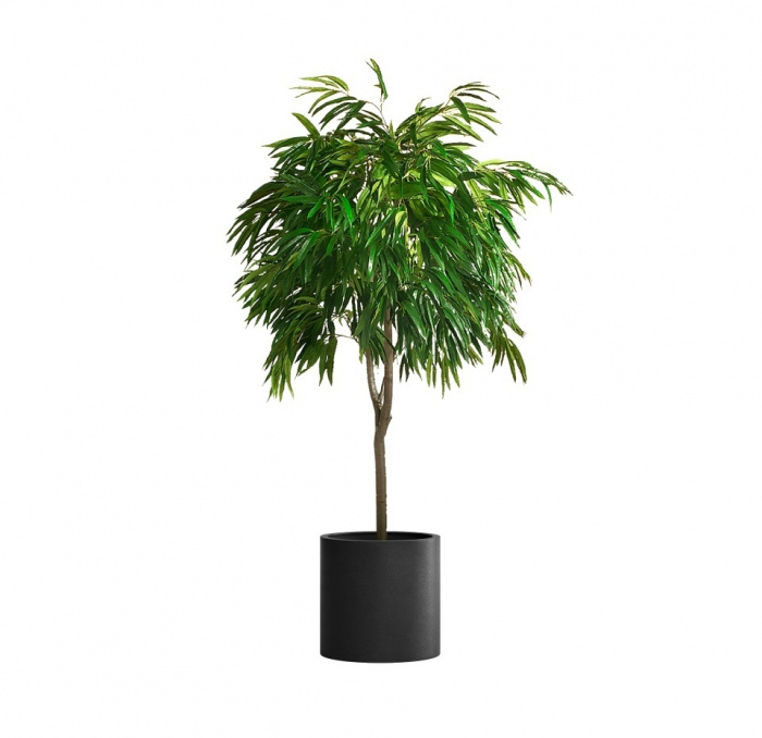 Кашпо CONCRETIKA CYLINDER NERO D45H45
