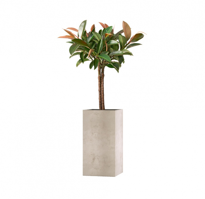 Кашпо CONCRETIKA COLONNA CONCRETE WHITE 40x40x80