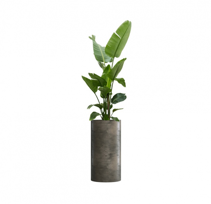 Кашпо CONCRETIKA CYLINDER BREZENT GREY D40H80