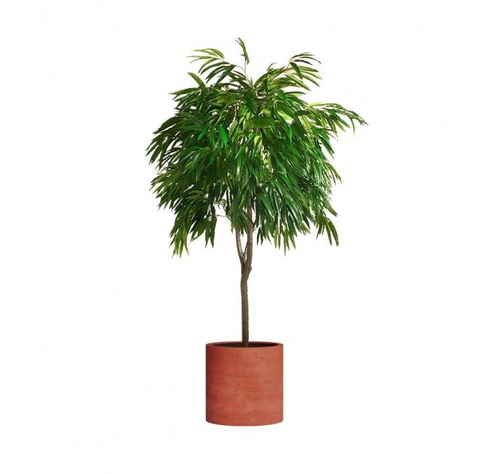 Кашпо CONCRETIKA CYLINDER CANDY D45H45