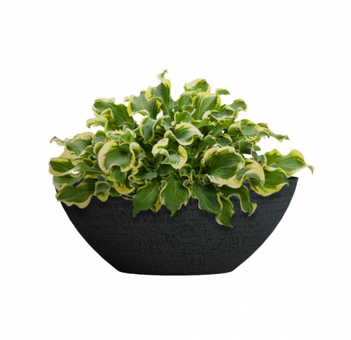 Кашпо CONCRETIKA BONSAY EROSIA BLACK D50H19