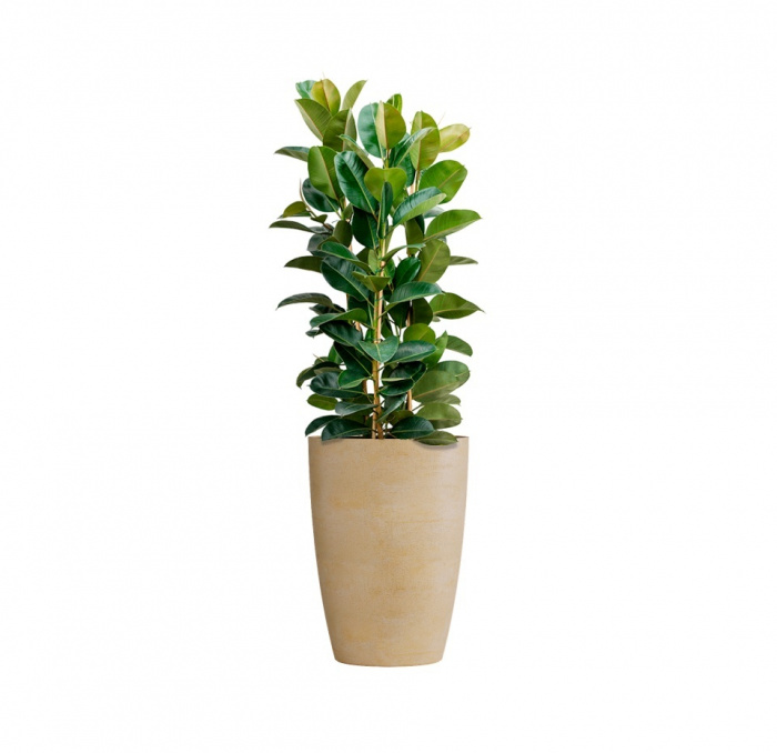 Кашпо CONCRETIKA CONUS LEMON D41H57