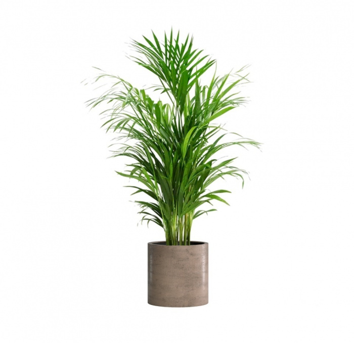 Кашпо CONCRETIKA CYLINDER SMOKEY GREY D40H40