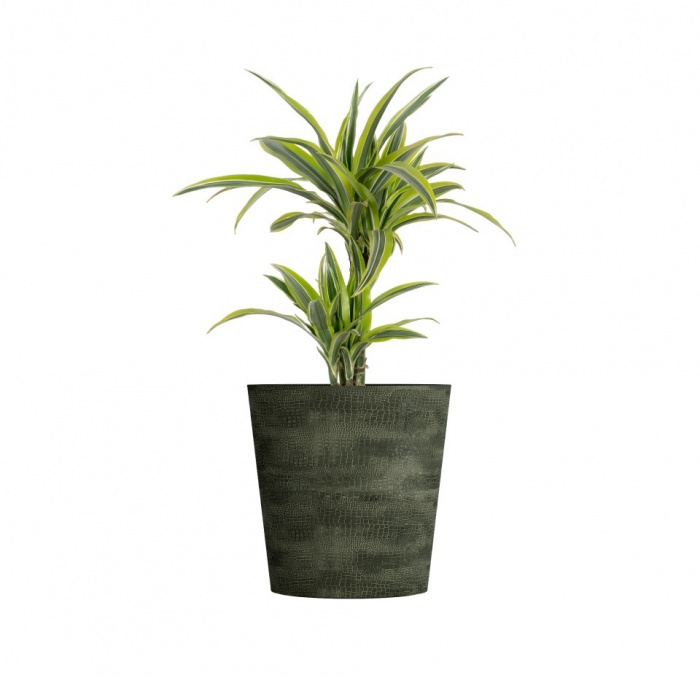 Кашпо CONCRETIKA CRATER CAYMAN GREEN D50H75