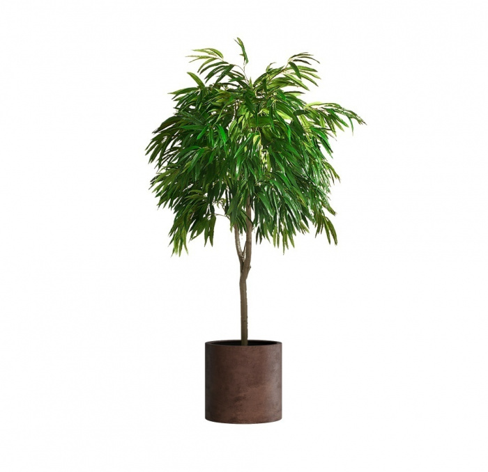 Кашпо CONCRETIKA CYLINDER COFFEE D45H45