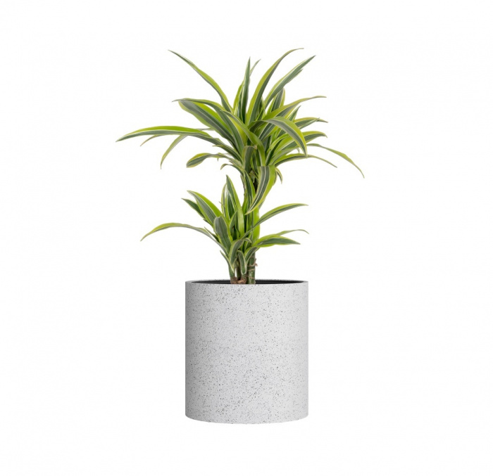 Кашпо CONCRETIKA CYLINDER EGG WHITE D60H65