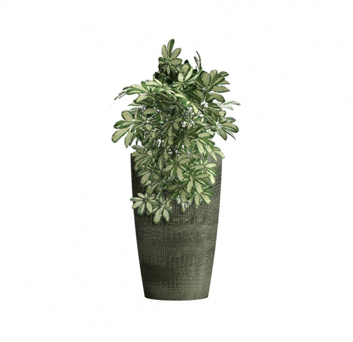 Кашпо CONCRETIKA CONUS CAYMAN GREEN D39H60