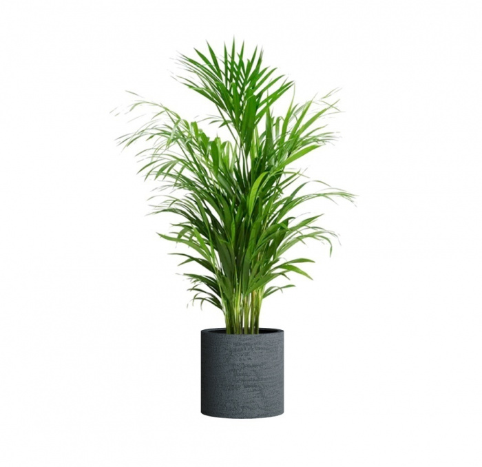 Кашпо CONCRETIKA CYLINDER EROSIA GREY D40H40