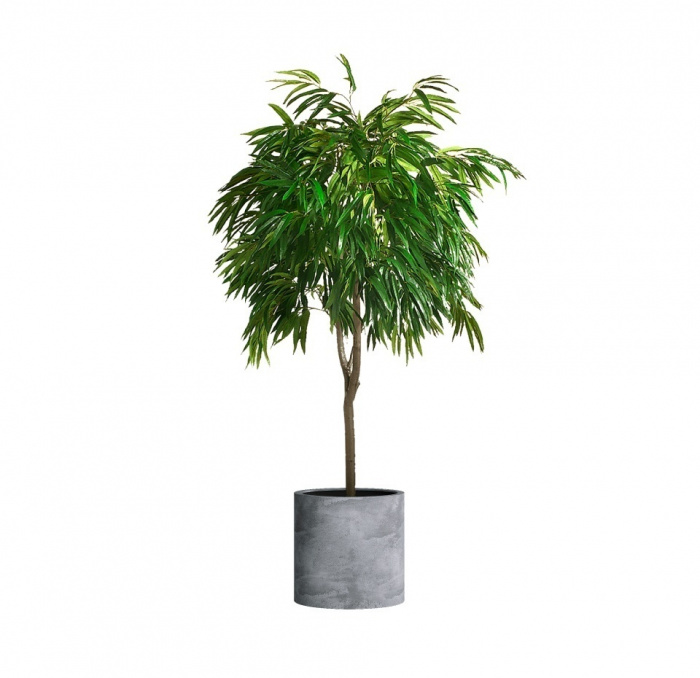 Кашпо CONCRETIKA CYLINDER CONCRETE GREY LIGHT D45H45