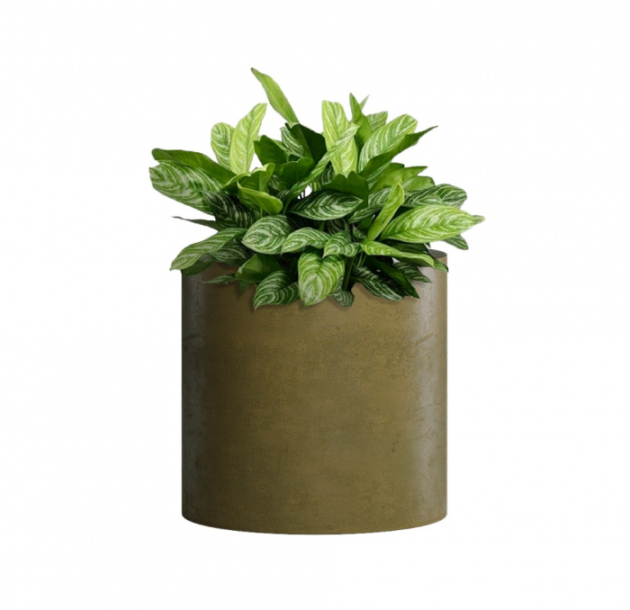 Кашпо CONCRETIKA CYLINDER AVOCADO D30H30