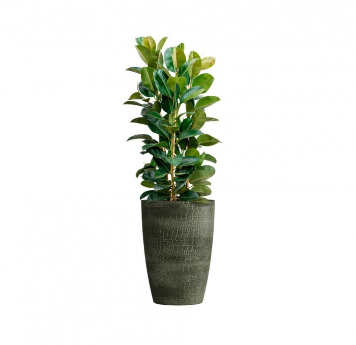 Кашпо CONCRETIKA CONUS CAYMAN GREEN D41H57