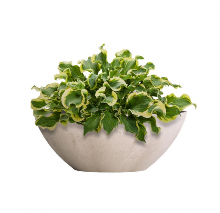 Кашпо CONCRETIKA BONSAY CONCRETE WHITE D50H19