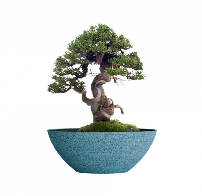 Кашпо CONCRETIKA BONSAY EROSIA BLUE D79H30