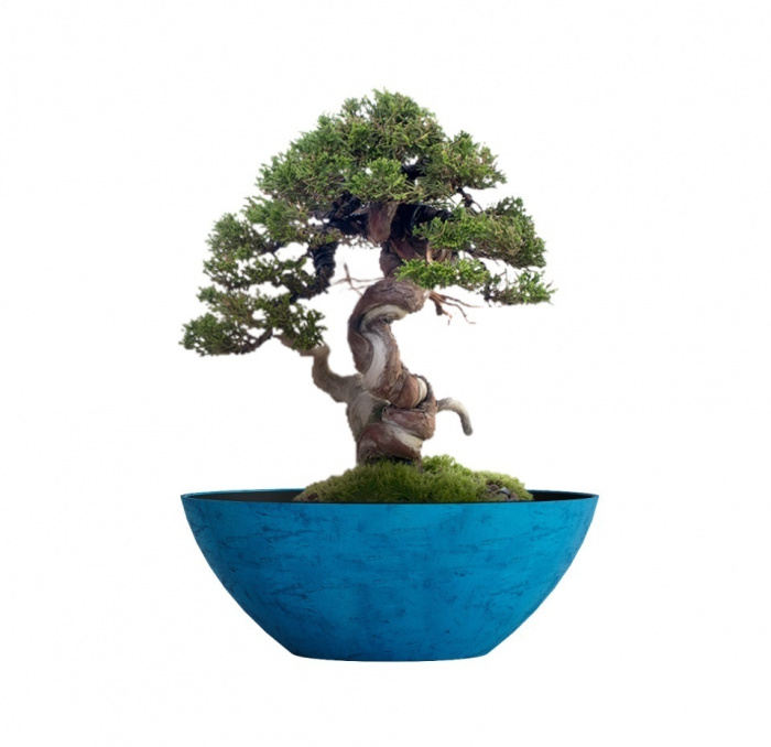 Кашпо CONCRETIKA BONSAY COBALT BLUE D79H30