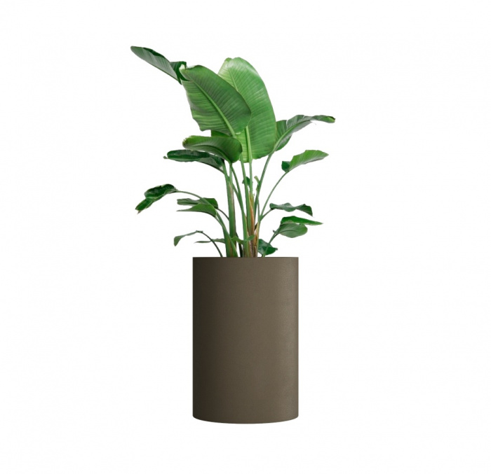 Кашпо CONCRETIKA CYLINDER OLIVE D60H90