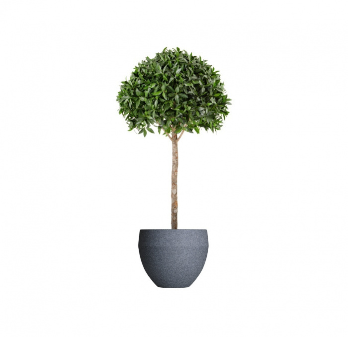 Кашпо CONCRETIKA GIRO BASALT D70H60