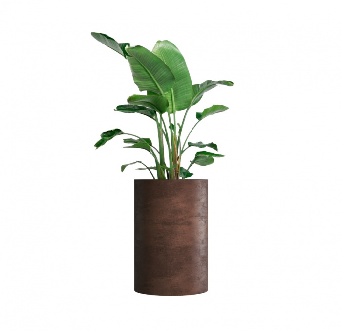 Кашпо CONCRETIKA CYLINDER COFFEE D60H90