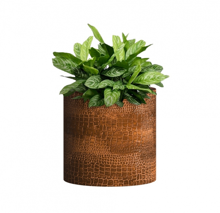 Кашпо CONCRETIKA CYLINDER CAYMAN BROWN D30H30