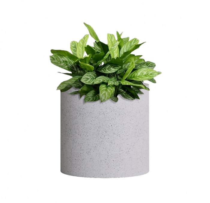 Кашпо CONCRETIKA CYLINDER EGG WHITE D30H30