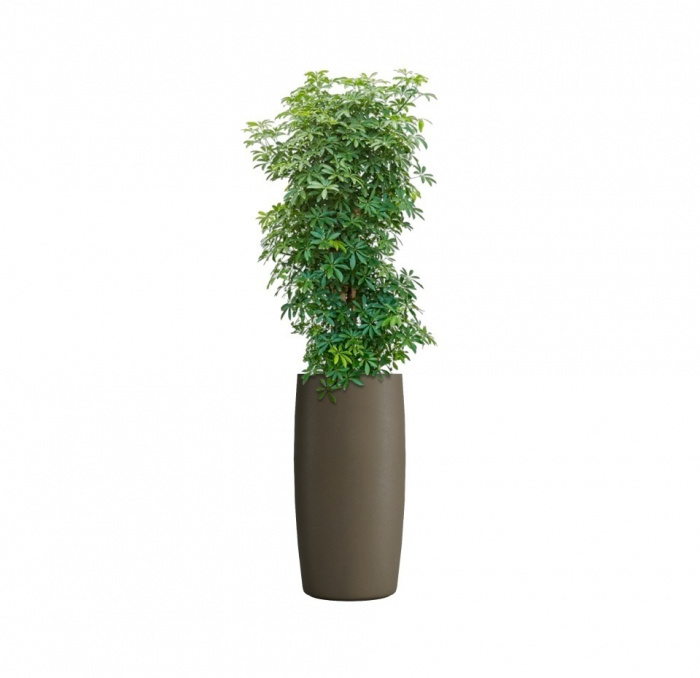 Кашпо CONCRETIKA CIGAR OLIVE D37H78