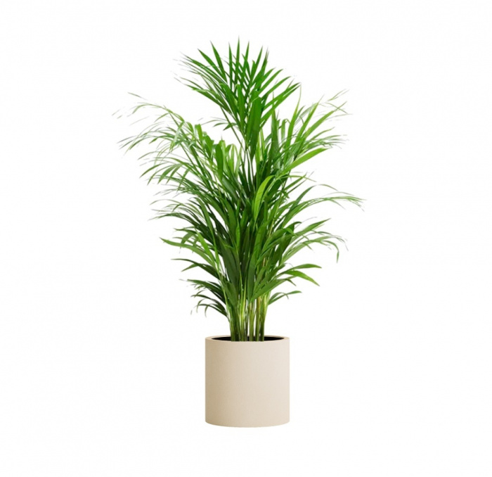 Кашпо CONCRETIKA CYLINDER SAHARA D40H40