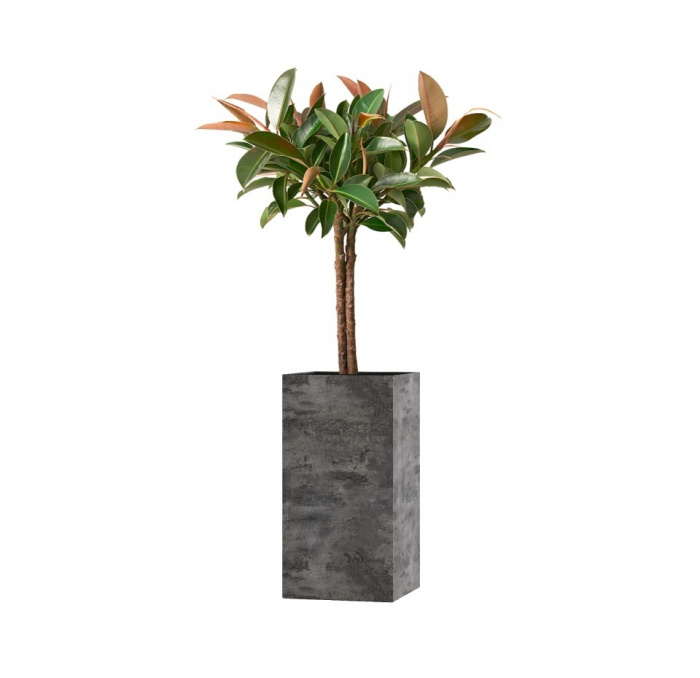 Кашпо CONCRETIKA COLONNA CONCRETE GREY DARK 40x40x80