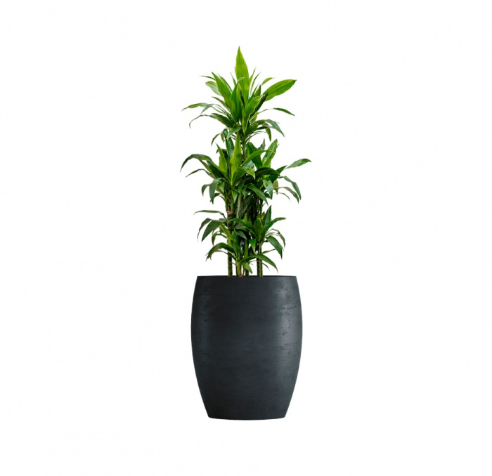 Кашпо CONCRETIKA OVAL ANTHRACITE D45H66