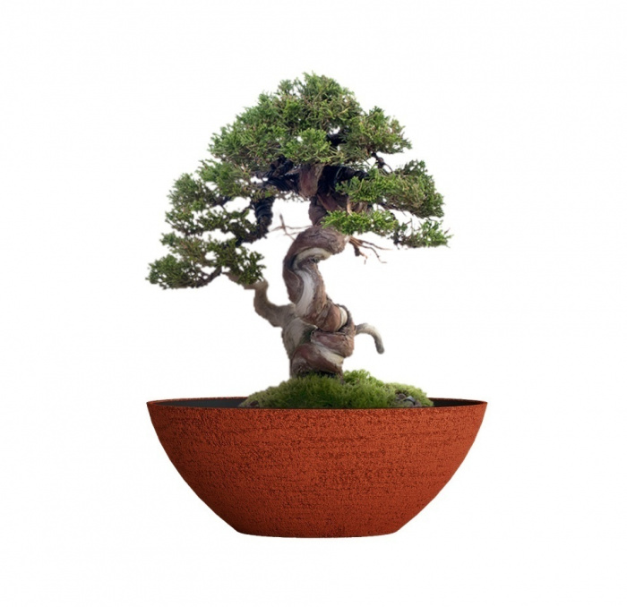 Кашпо CONCRETIKA BONSAY EROSIA CORAL D79H30