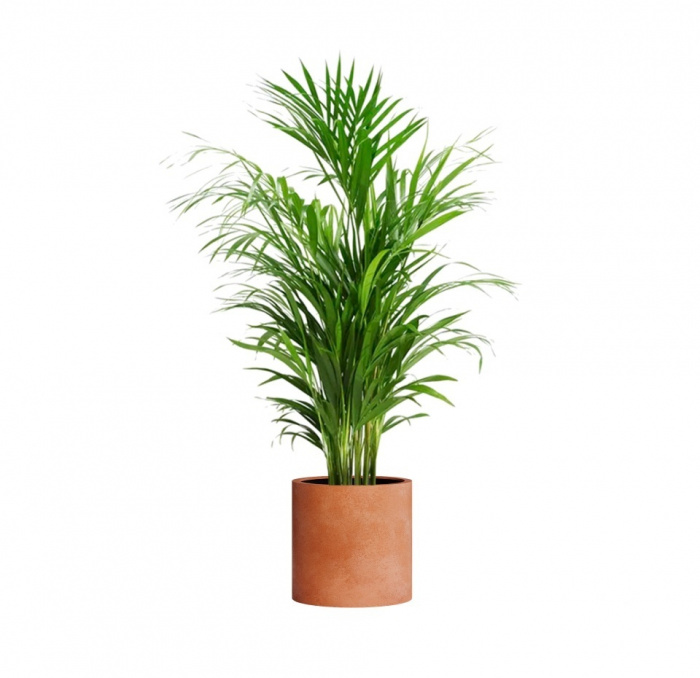 Кашпо CONCRETIKA CYLINDER RED CLAY D40H40