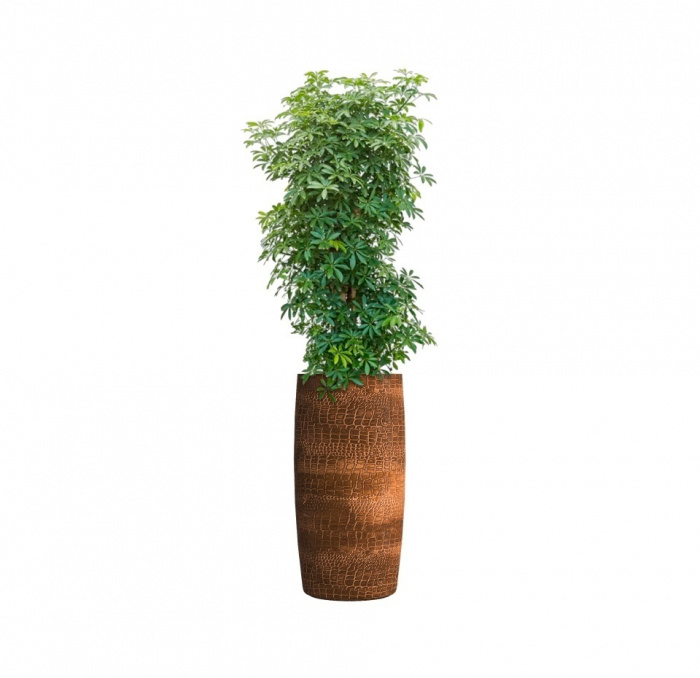 Кашпо CONCRETIKA CIGAR CAYMAN BROWN D37H78