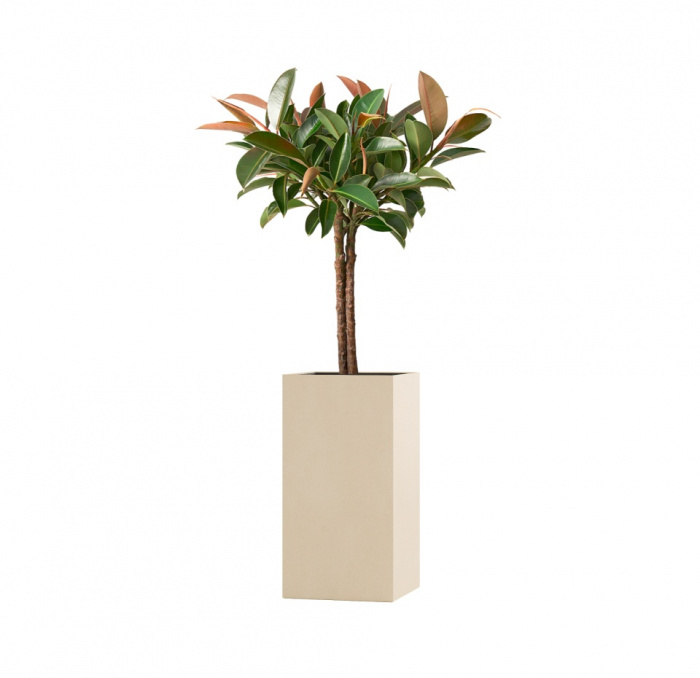 Кашпо CONCRETIKA COLONNA SAHARA 40x40x80