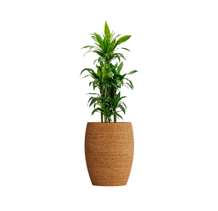 Кашпо CONCRETIKA OVAL EROSIA OCHRE D45H66