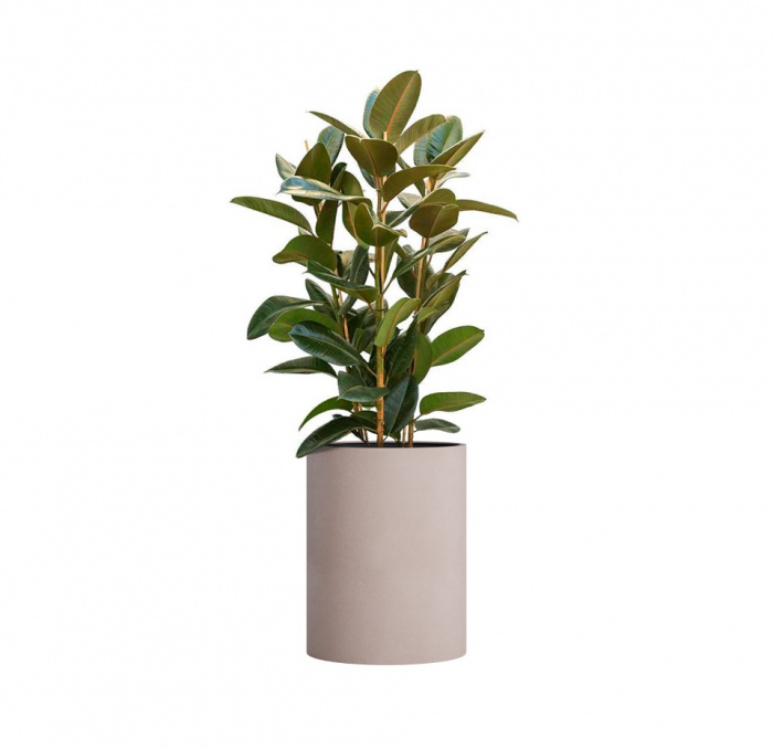 Кашпо CONCRETIKA CYLINDER COCOA D50H65