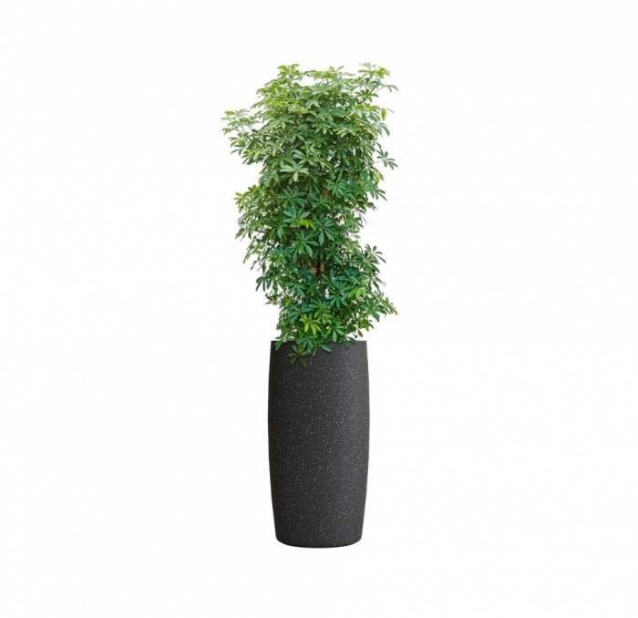 Кашпо CONCRETIKA CIGAR EGG BLACK D37H78