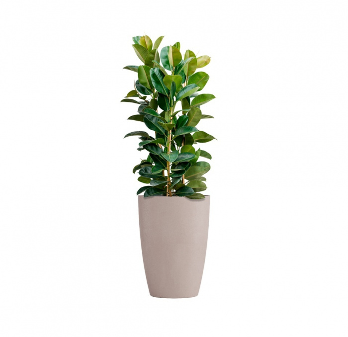 Кашпо CONCRETIKA CONUS COCOA D41H57