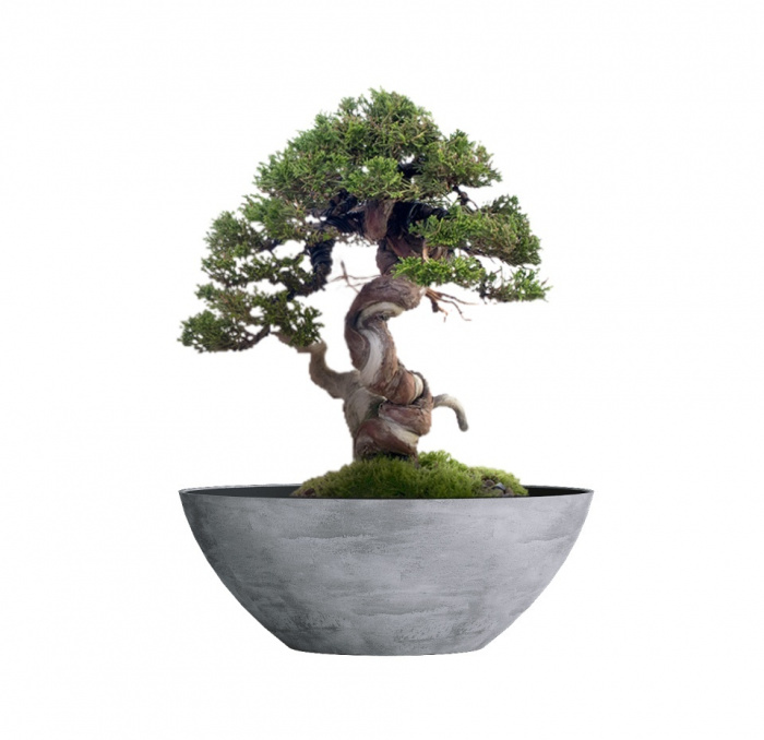 Кашпо CONCRETIKA BONSAY CONCRETE GREY LIGHT D79H30