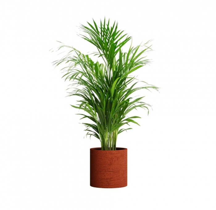 Кашпо CONCRETIKA CYLINDER EROSIA CORAL D40H40