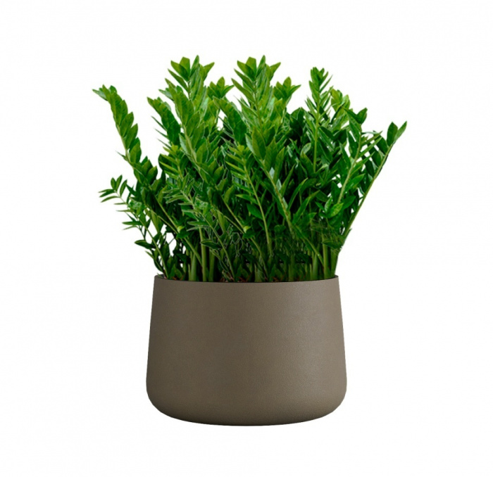 Кашпо CONCRETIKA CONE OLIVE D60H42